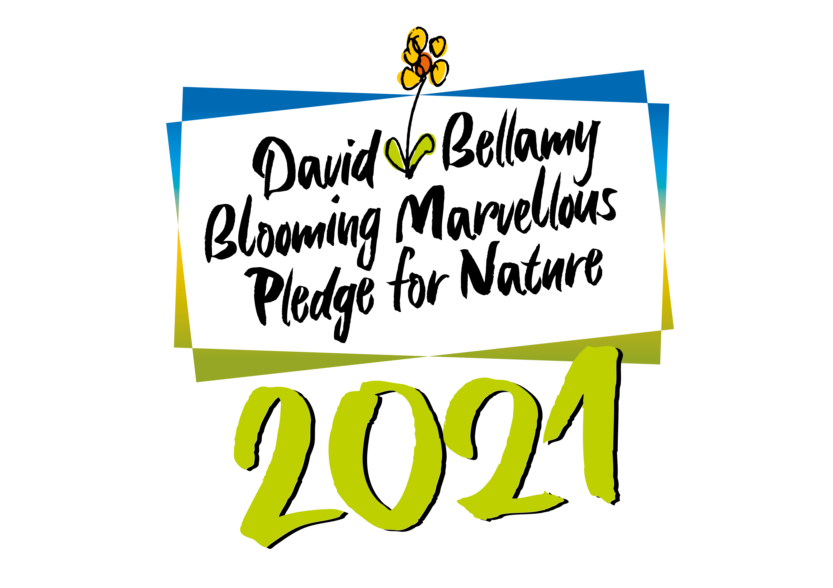 David Bellamy Logo